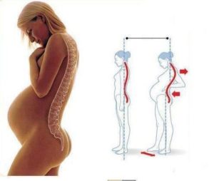 Pregnancy-Posture-Change-Gardner-Chiropractic-Family-and-Wellness-Center