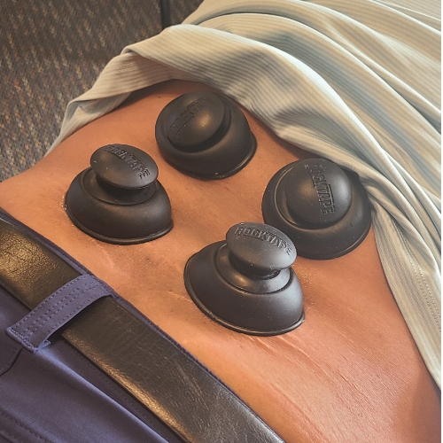 chronic-pain-Gardner-Chiropractic-and-Family-Wellness-Round-Rock-Jarrell-TX